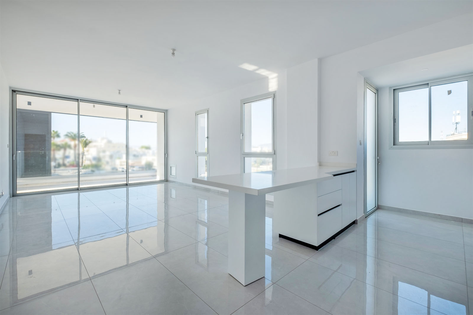 Elegant Apartment