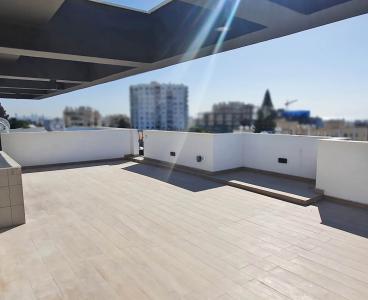 Urban Elegance: City Center Penthouse