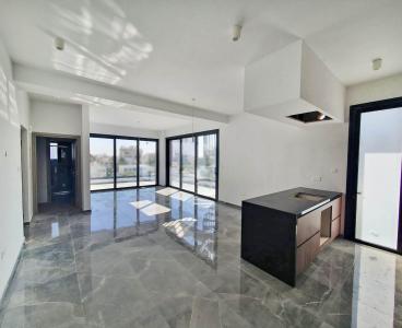 Urban Elegance: City Center Penthouse