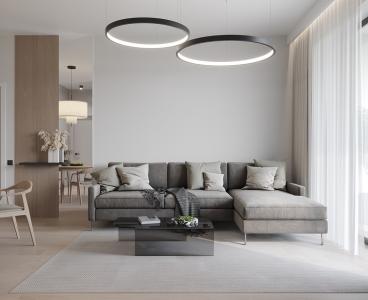 Convenient Apartment