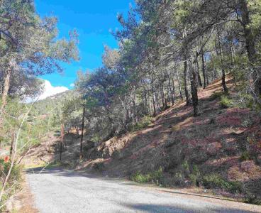 Exceptional Land In Moniatis