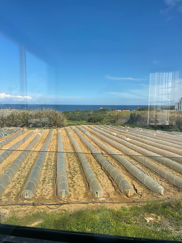 3 Bedrooms House in Kapparis