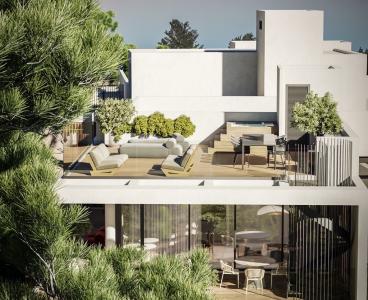 Gorgeous Expansive Roof Garden!