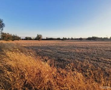 High-potential Land