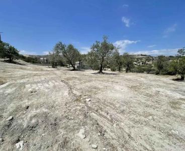 Exceptional Potential Land