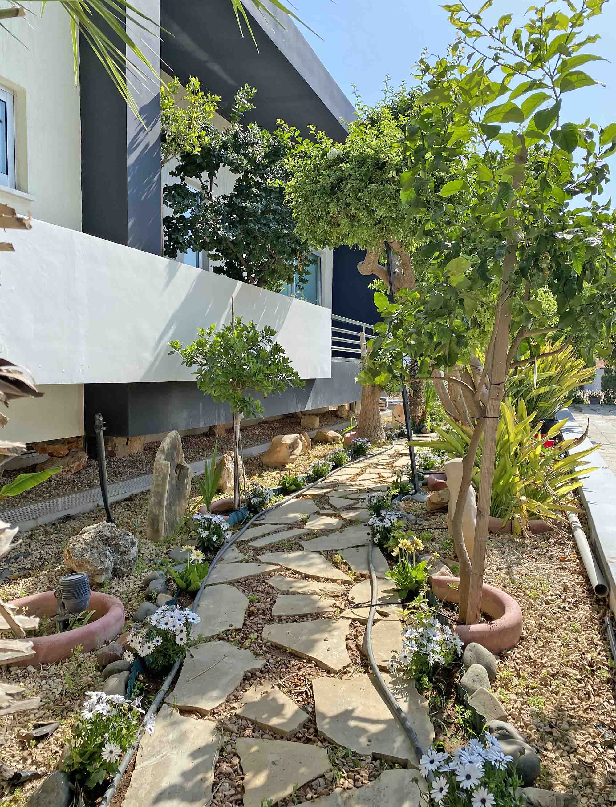 5 Bedrooms Villa in Linopetra