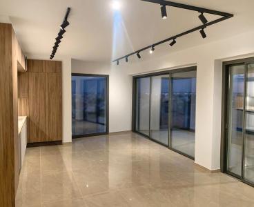 Move In Ready Luxury Penthouse