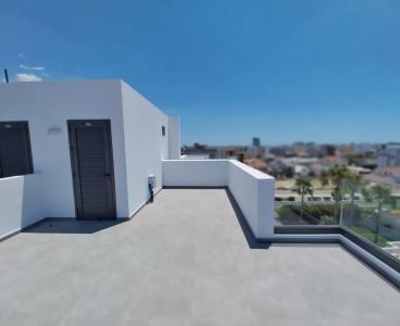 Luxury Smart Tech Penthouse