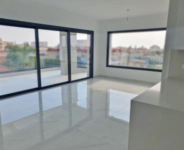 Chic Metropolitan Penthouse