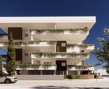 Luxury Meets Affordability