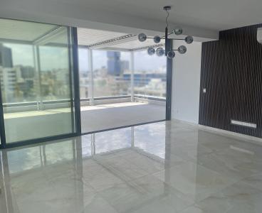 City Center Brand New Penthouse