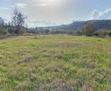 Unobstructed Sea and Mountain Views