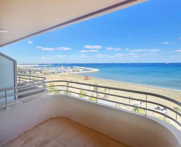 Serene Beachfront Living