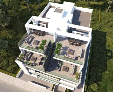 Penthouse with Roof Garden