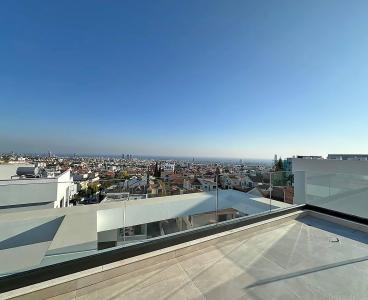 Stunning penthouse with expansive roof garden