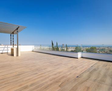 Exclusive  Penthouse