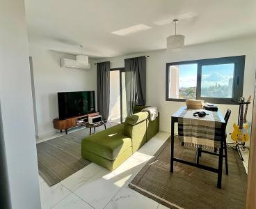 Modern City Apartment