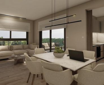 Luxury Top Floor in Pano Polemidia, Limassol