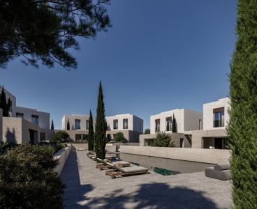 Luxurious Beachfront Living