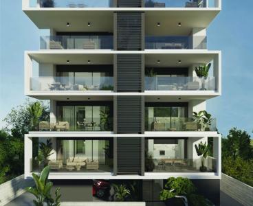 Penthouse with Roof Garden