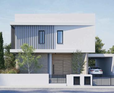 Spacious Modern Home