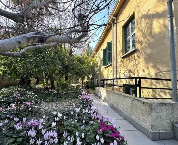 Old World Charm|Endless Potential in Agios Andreas, Nicosia Down Town, Nicosia