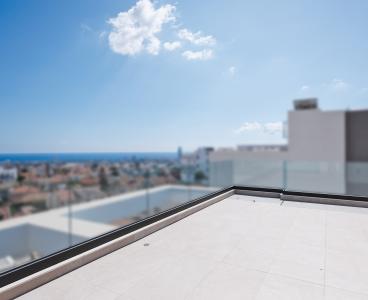 Stunning penthouse with expansive roof garden