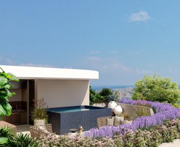 Penthouse Perfection