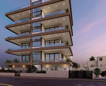 Contemporary Penthouse