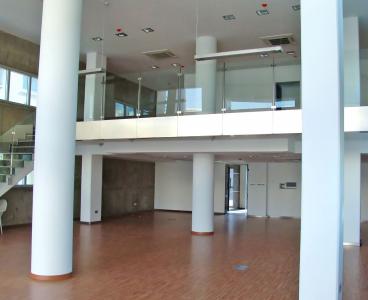 Income Producing Office Building in Ayia Zoni, Limassol