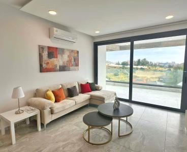 Modern Mountain View Apartment