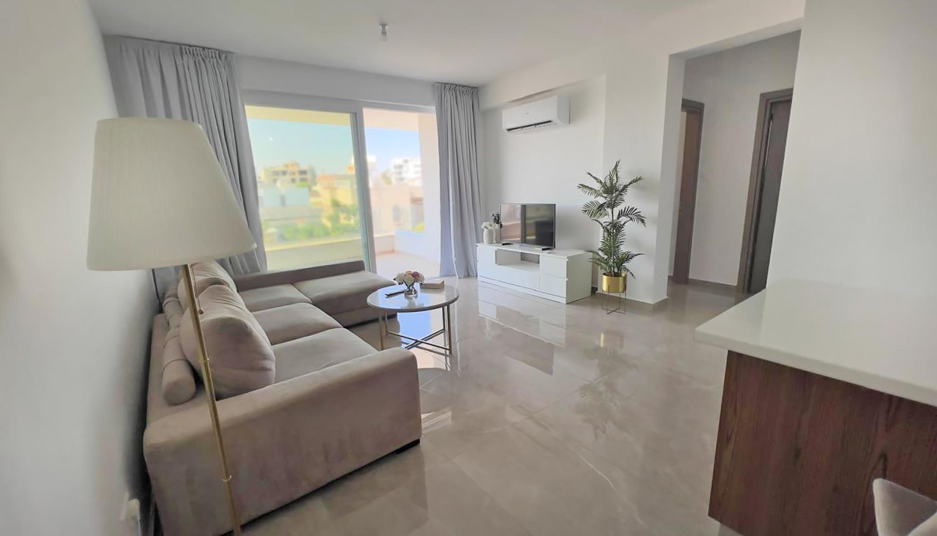 Luxury Apartment