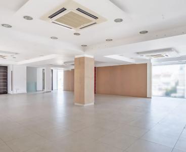 Exceptional Investment Opportunity in Strovolos, Nicosia
